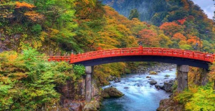 Nikko Private Charter Sightseeing Tour With Guide - Pickup and Drop-off Details