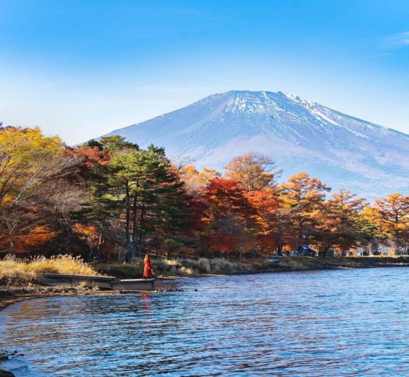 Nikko: Private Customizable Tour with Driver - Who Is This Tour Best For?