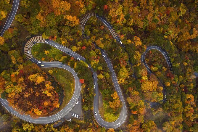 Nikko Private Customized Day Tour - Authentic Reviews and Insights