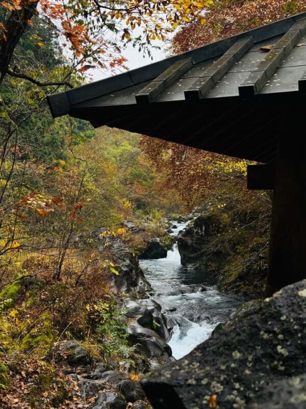 Nikko Private Day Tour Temples, Nature & Hidden Gems - Good To Know