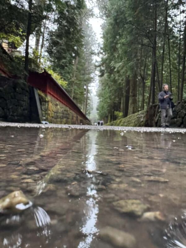 Nikko Private Day Tour  Temples, Nature & Hidden Gems - Comfort and Practicalities