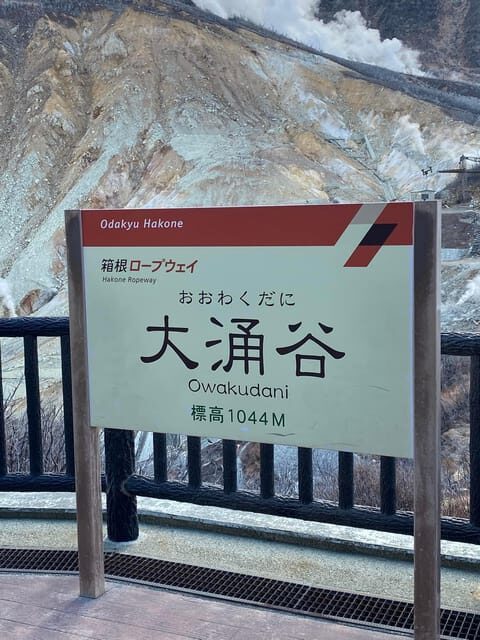 Nikko Private Day Tour with English Speaking Expert Driver - Final Thoughts: Who Is This Tour Best For?  