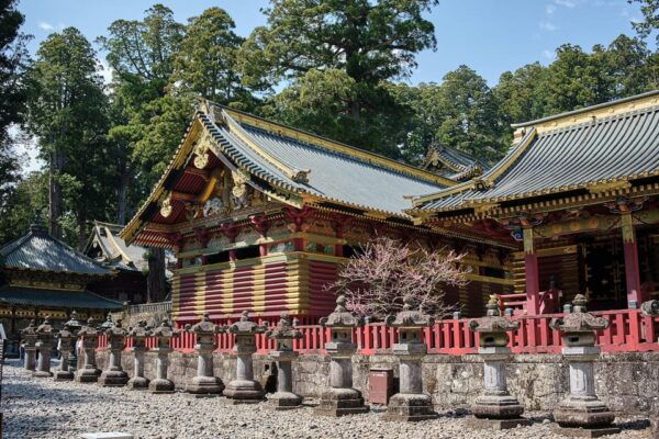 Nikko Private Day Trip: Explore Japans World Heritage - Local Cuisine to Try