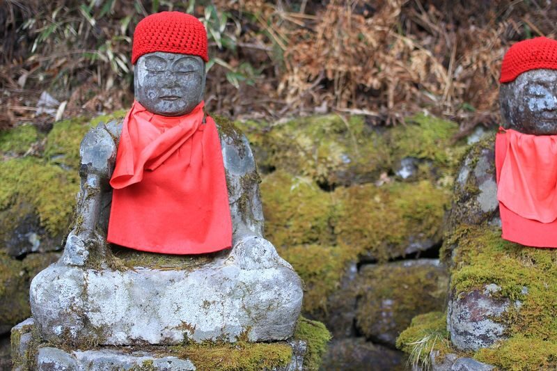 Nikko Private Day Trip (Tokyo Departure) - The private car is the main convenience