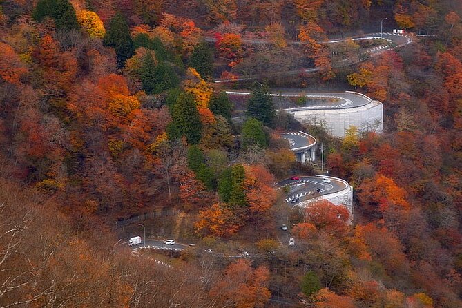 Nikko Private Day Trip With English Speaking Driver - Pricing and Reservation