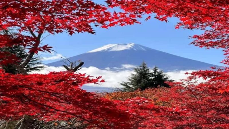 Nikko: Private Full-Day Tour to Tokyo with Guide - Final Thoughts: Who Is This Tour Best For?