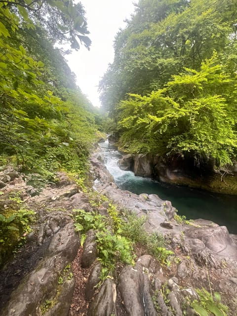 Nikko: Private Guided Tour by Car With English Guide - Tour Inclusions