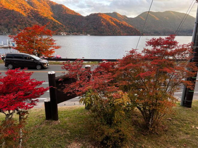 Nikko: Private Guided Tour by Car With English Guide - Important Information