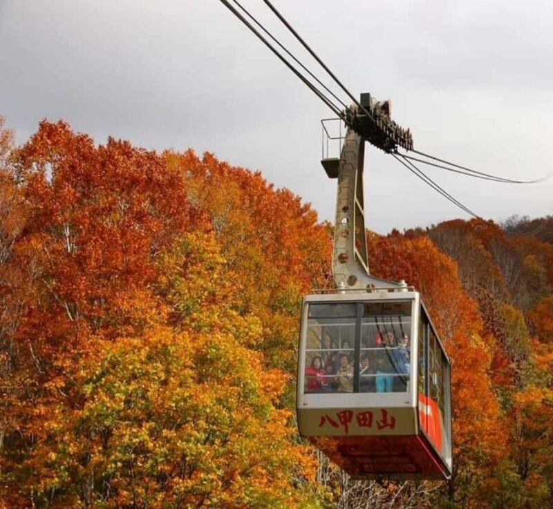 Nikko: Private Hakone Nature & Culture Day Trip - A Closer Look at the Hakone Day Trip from Nikko  