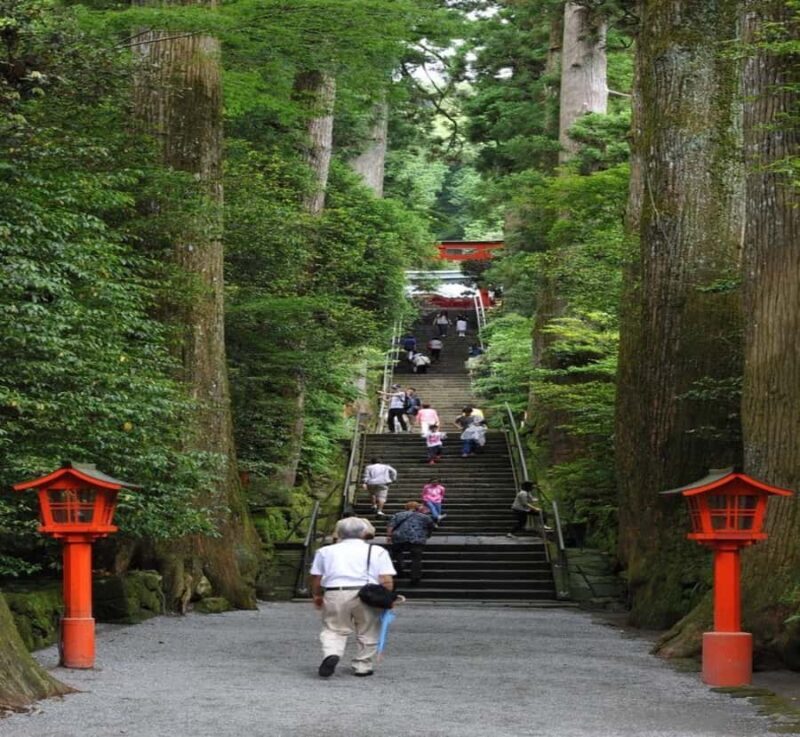 Nikko: Private Hakone Nature & Culture Day Trip - Exploring Hakone’s Natural Beauty and Cultural Gems