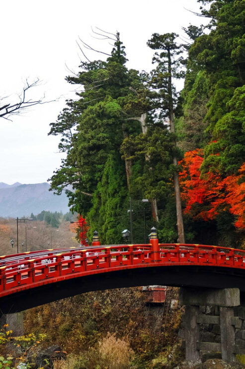 Nikko: Private Sightseeing Day Tour With Driver & Transport - Good To Know