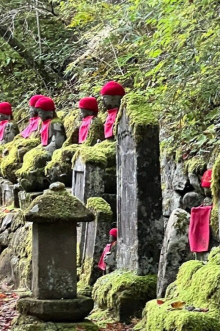 Nikko: Private Sightseeing Tour With English-Speaking … - Important Information