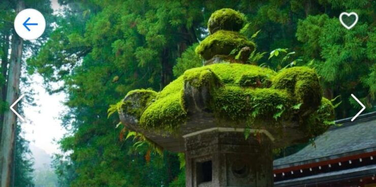 Nikko: Private Sightseeing Tour With UNESCO World Heritage - Itinerary Highlights
