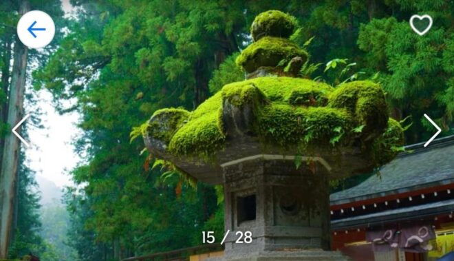 Nikko: Private Sightseeing Tour With UNESCO World Heritage - Guided Experience