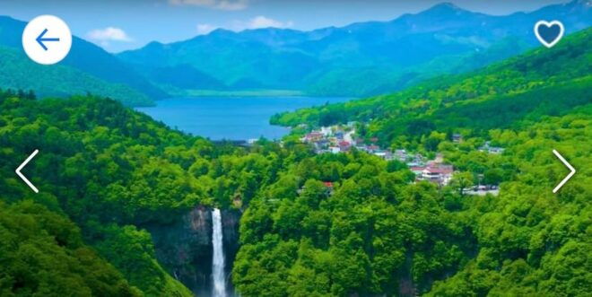 Nikko: Private Sightseeing Tour With UNESCO World Heritage - Inclusions and Restrictions