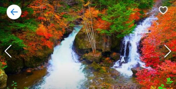 Nikko: Private Sightseeing Tour With UNESCO World Heritage - Frequently Asked Questions