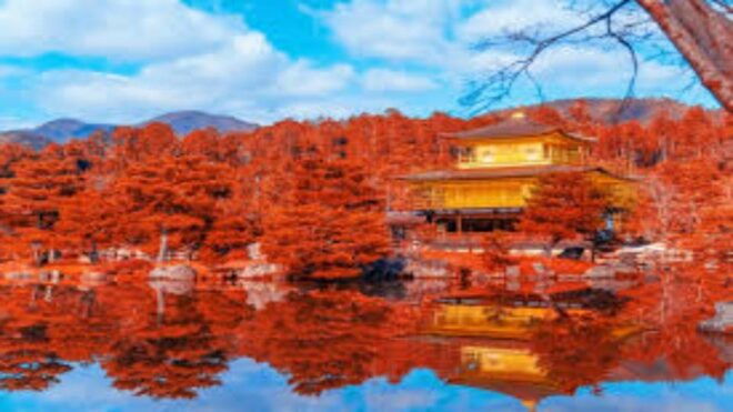 Nikko Private Tour With English Speaking Driver - Cultural Significance of Nikko