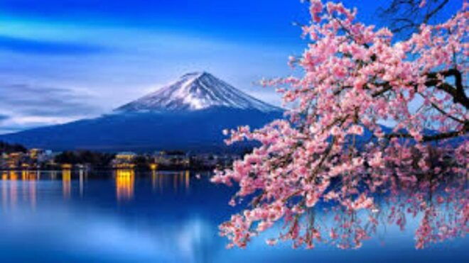 Nikko Private Tour With English Speaking Driver - Tour Experience Details