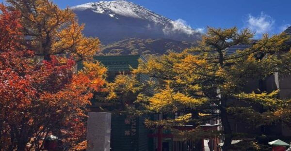 Nikko Private Tour With English Speaking Driver - Frequently Asked Questions