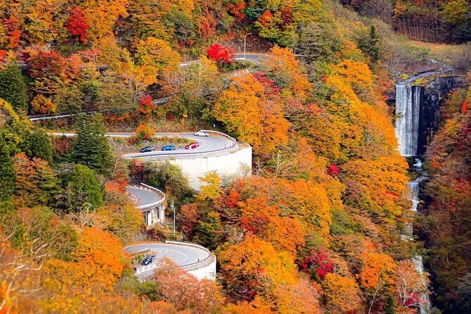 Nikko Private Tour With English Speaking Guide - FAQs