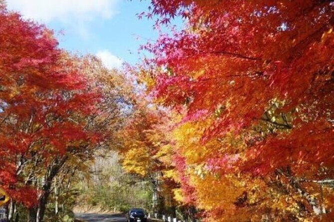 Nikko Private Trip from Tokyo with a Local English Guide - Introduction