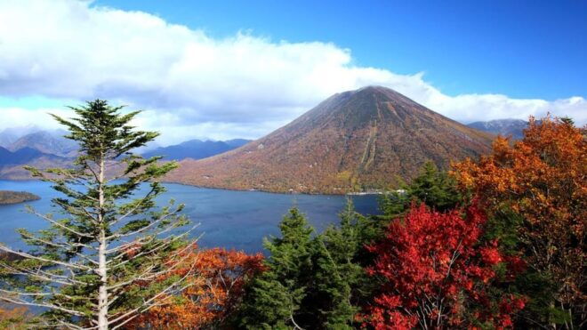 Nikko: Private Walking Tour With Local Guide - Tour Details