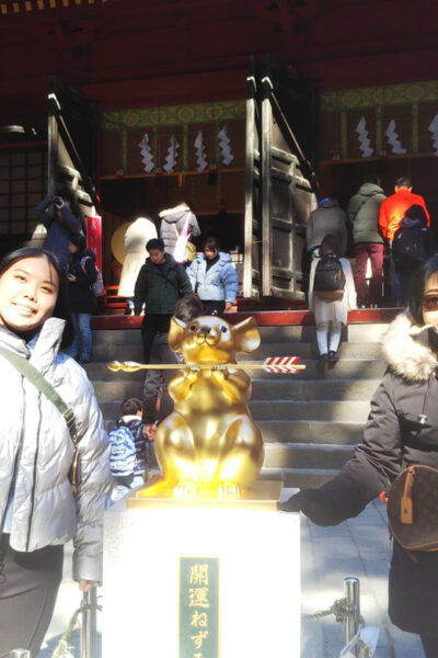 Nikko: Private Walking Tour With Local Guide - Important Information