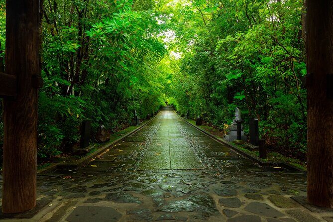 Nikko: Sacred Mountains, Shoguns, & Japans Spiritual Heart - What You’ll Experience and Why It Matters