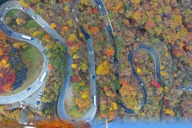 Nikko Shrine Day Tour from Tokyo or Shinjuku - Good To Know
