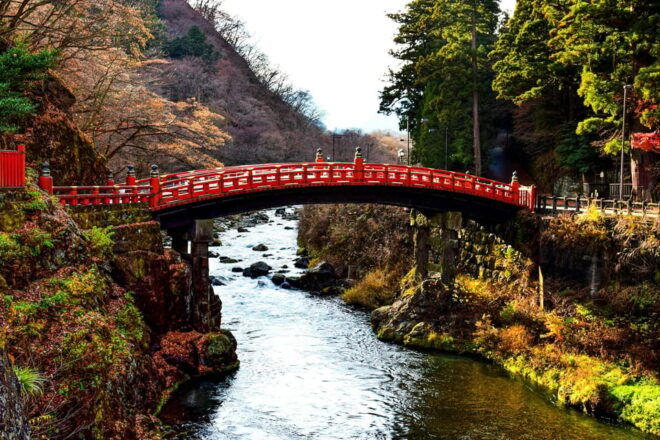 Nikko: Sightseeing Customized Private English Full Day Trip - Customization and Flexibility