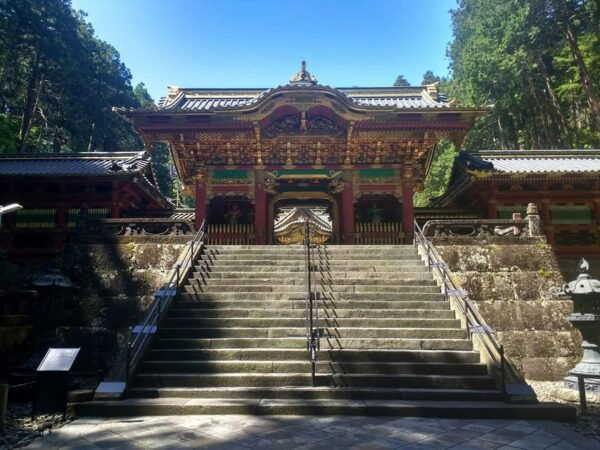 Nikko: Sightseeing Customized Private English Full Day Trip - Travel Tips