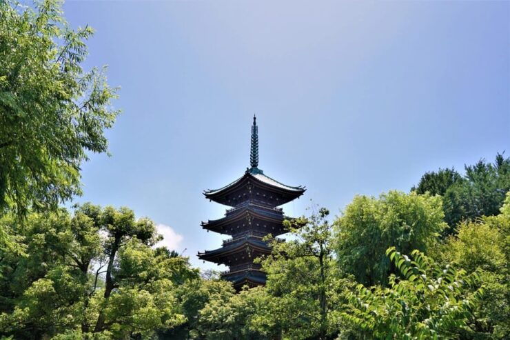 Nikko Sightseeing Day Trip With English Speaking Guide - Good To Know