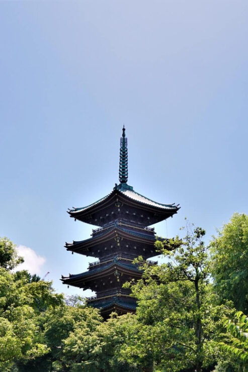 Nikko Sightseeing Day Trip With English Speaking Guide - Experience Details