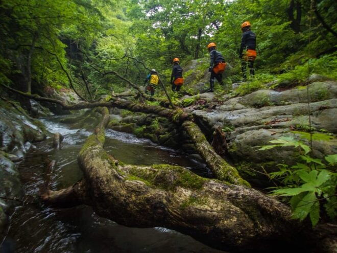 Nikko: Standard Half-Day Canyoning Course - Whats Included