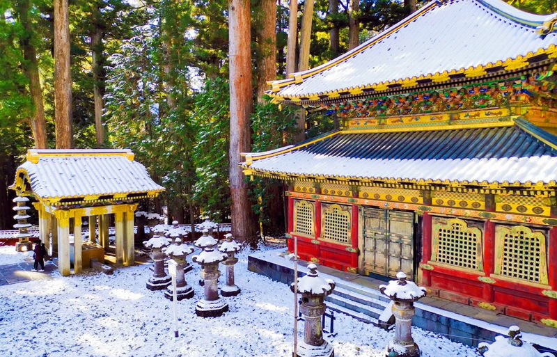 Nikko Toshogu Shrine, Irohazaka Winding Road, Lake Chuzenji, and Kegon Falls Day Trip (From Tokyo) - Lake Chuzenji, mountain air and a short lakeside pause