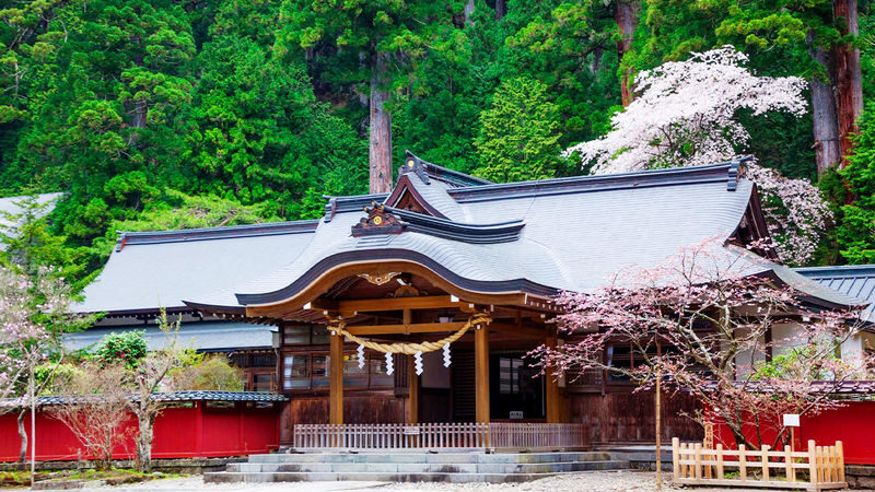 Nikko Toshogu Shrine, Irohazaka Winding Road, Lake Chuzenji, and Kegon Falls Day Trip (From Tokyo) - Kegon Falls, a near-100-meter drop