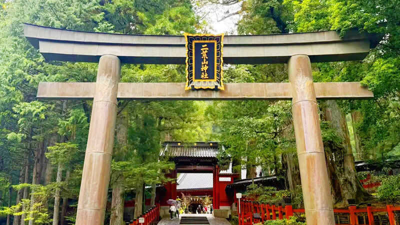 Nikko Toshogu Shrine, Irohazaka Winding Road, Lake Chuzenji, and Kegon Falls Day Trip (From Tokyo) - What the price covers, and what it leaves out