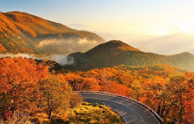 Nikko Toshogu Shrine & Kegon Falls One-Day Cultural Heritage Tour - Kegon Falls brings the day outdoors