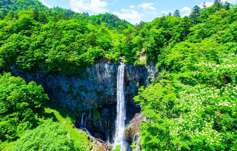 Nikko Toshogu Shrine & Kegon Falls One-Day Cultural Heritage Tour - Guides make the long ride more useful