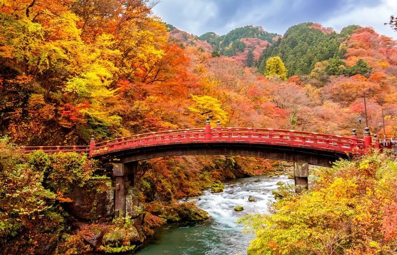 Nikko Toshogu Shrine & Kegon Falls One-Day Cultural Heritage Tour - What the price buys you