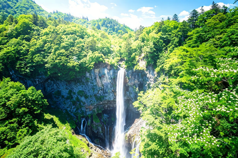 Nikko Toshogu Shrine & Kegon Falls Small Group Day Tour (Driver-Guide Service, Optional Hotel Pickup and Drop-off) - The driver-guide can make the day easier