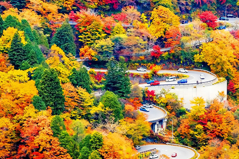 Nikko Toshogu Shrine & Kegon Falls Small Group Day Tour (Driver-Guide Service, Optional Hotel Pickup and Drop-off) - Booking checks worth making