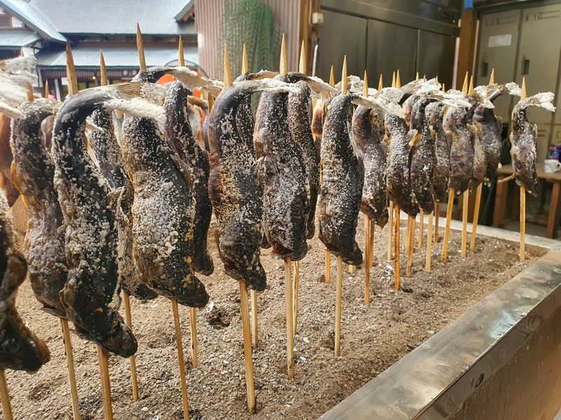 Nikko Toshogu Shrine & Kegon Waterfall One Day Tour from Tokyo - What the day’s pace feels like