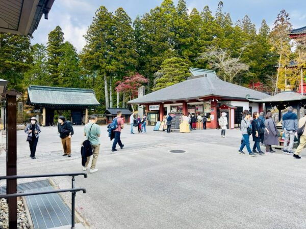 Nikko Toshugu, Lake Chuzenji and Kegon Waterfall Day Tour - Accessibility Details