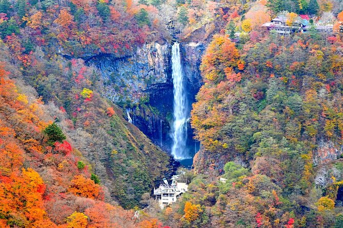 Nikko Tour From Tokyo With Licensed Guide via Private Car - Pricing Details