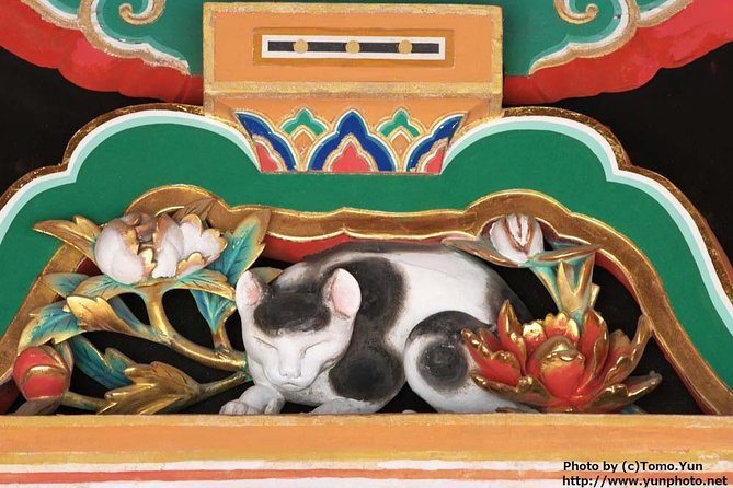 Nikko World Heritage 1 Day Tour - Tour Guidelines and Recommendations