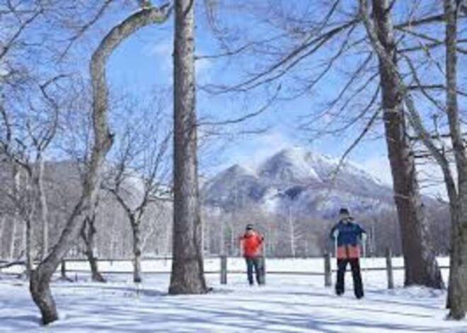 Nikko World Heritage Tour With English Drivers - Inclusions and Fees