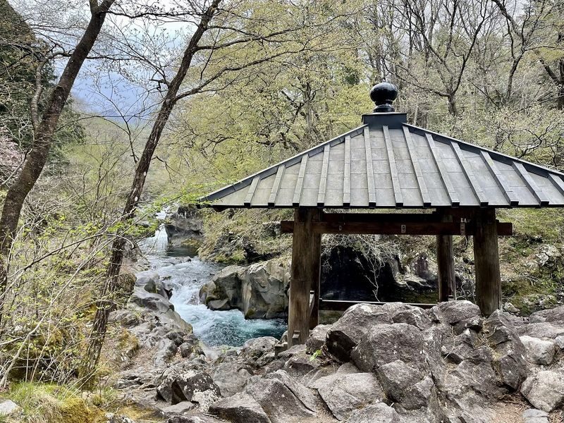 Nikko World Heritage Walking Tour with Toshogu Shrine & Lunch - Lunch is a decision, not a surprise