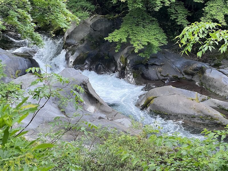 Nikko World Heritage Walking Tour with Toshogu Shrine & Lunch - Who should book this walk?