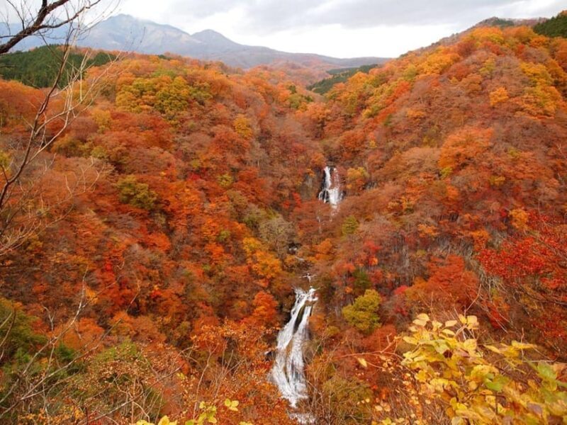 Nikko's Majestic Landscapes: Private Guided Tour - FAQ